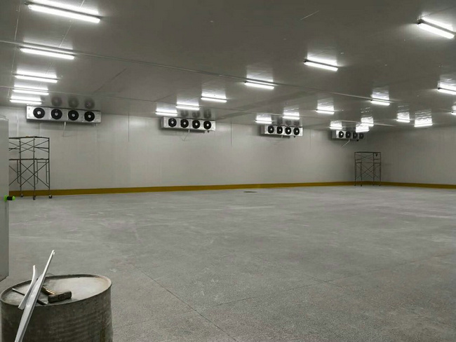 建造100平方冷凍庫(kù)需要多少錢(qián)？